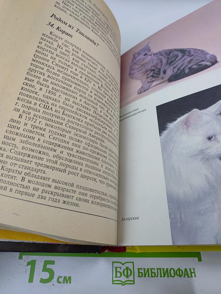 300 кошачьих "почему?"