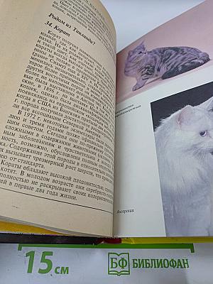 300 кошачьих "почему?"