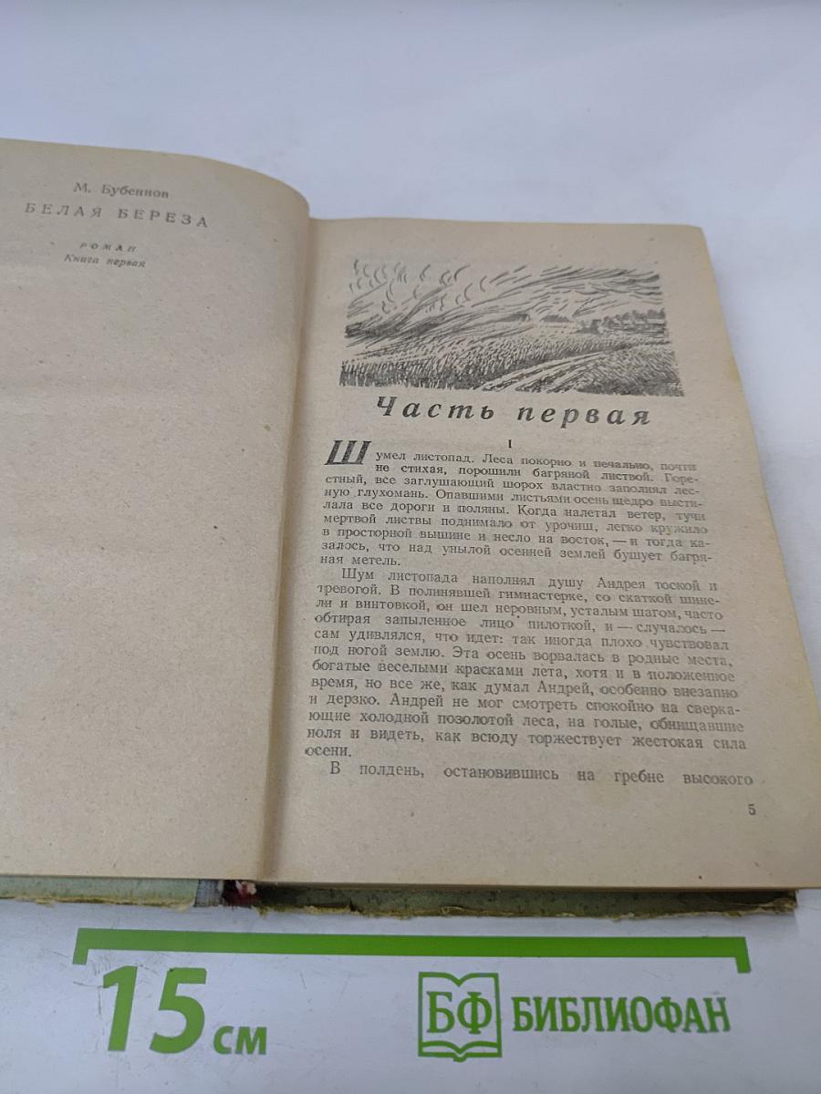 Белая береза. Роман. Книга первая
