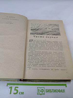 Белая береза. Роман. Книга первая