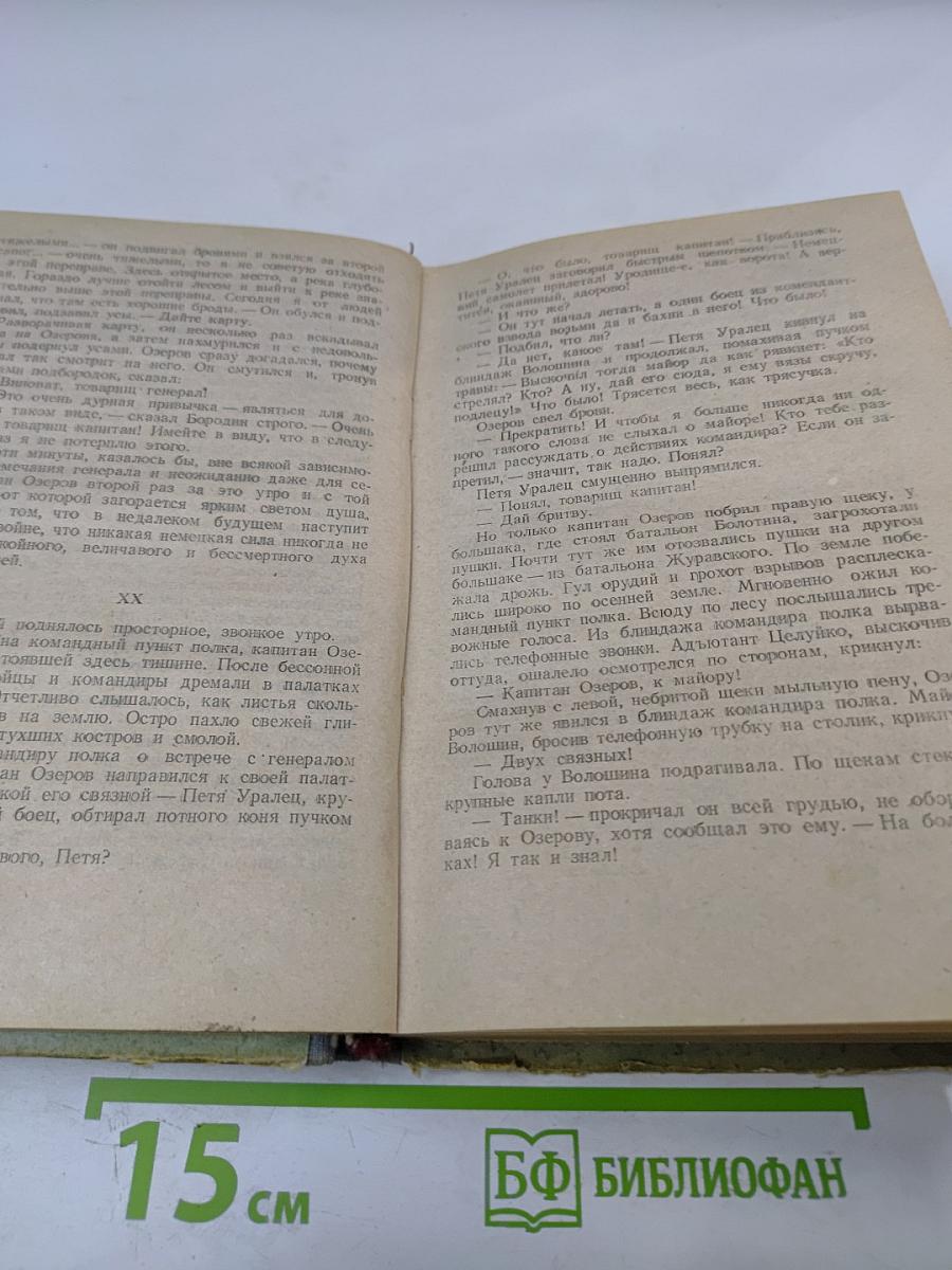Белая береза. Роман. Книга первая