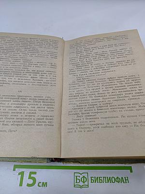 Белая береза. Роман. Книга первая