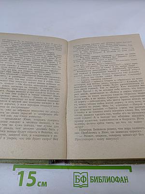 Белая береза. Роман. Книга первая