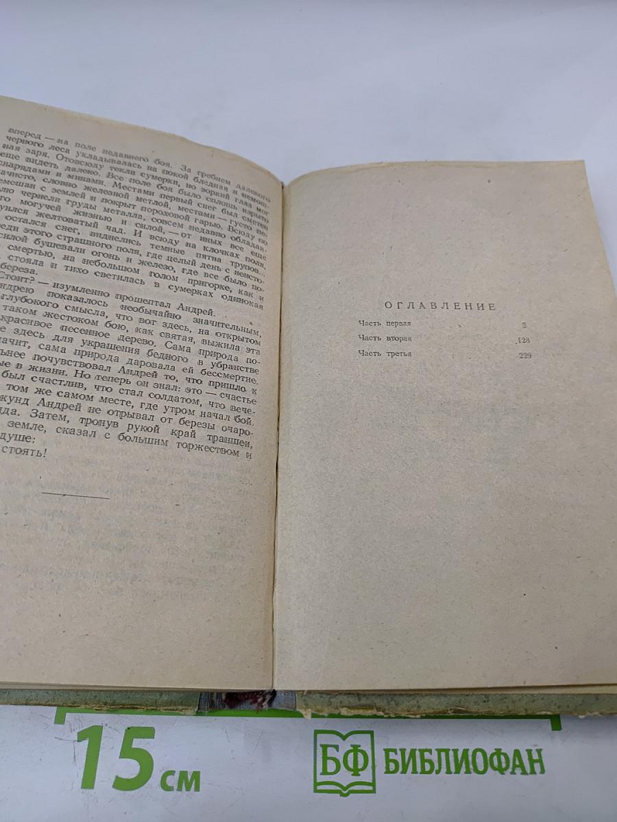 Белая береза. Роман. Книга первая