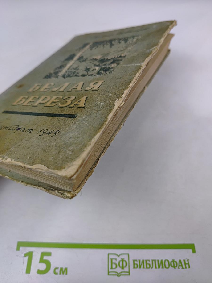 Белая береза. Роман. Книга первая