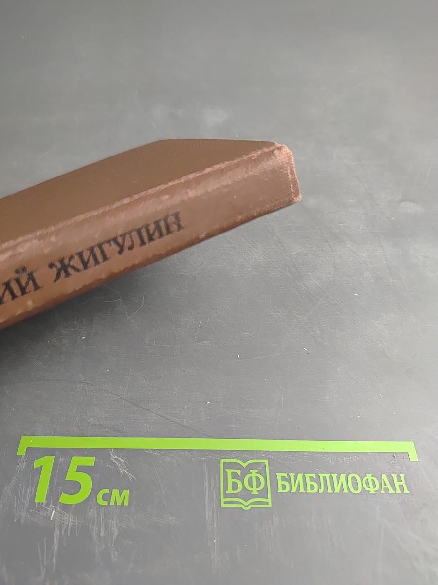 Жизнь, нечаянная радость. Избранное