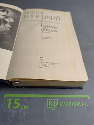 Ледовые брызги