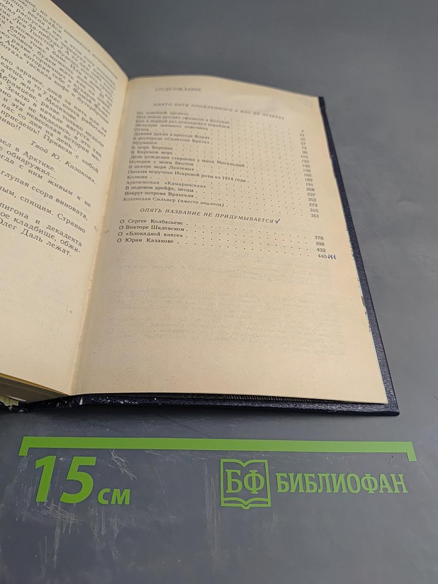 Ледовые брызги