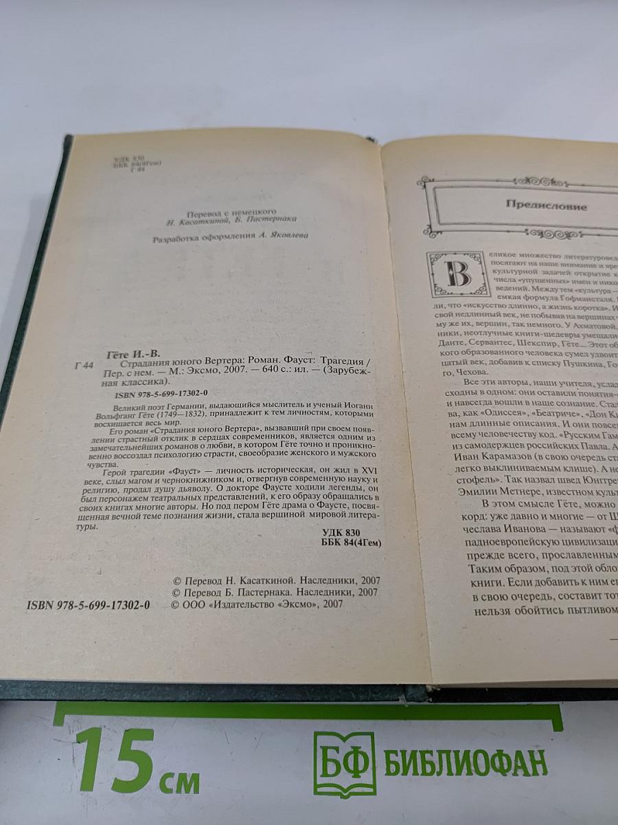 Страдания юного Вертера. Фауст