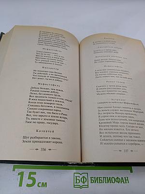 Страдания юного Вертера. Фауст