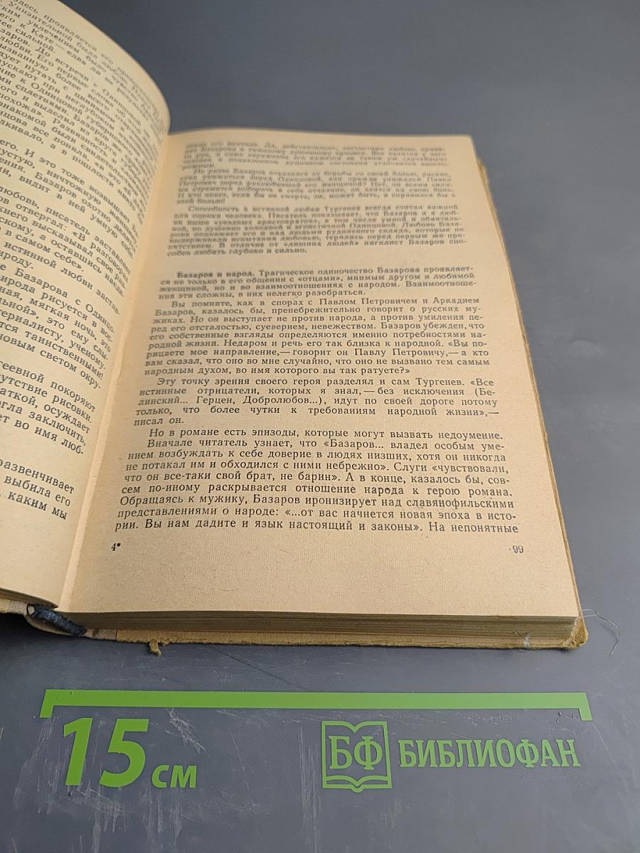 Русская литература. Учебник для 9 класса средней школы