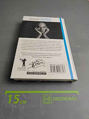 Звездная бабочка