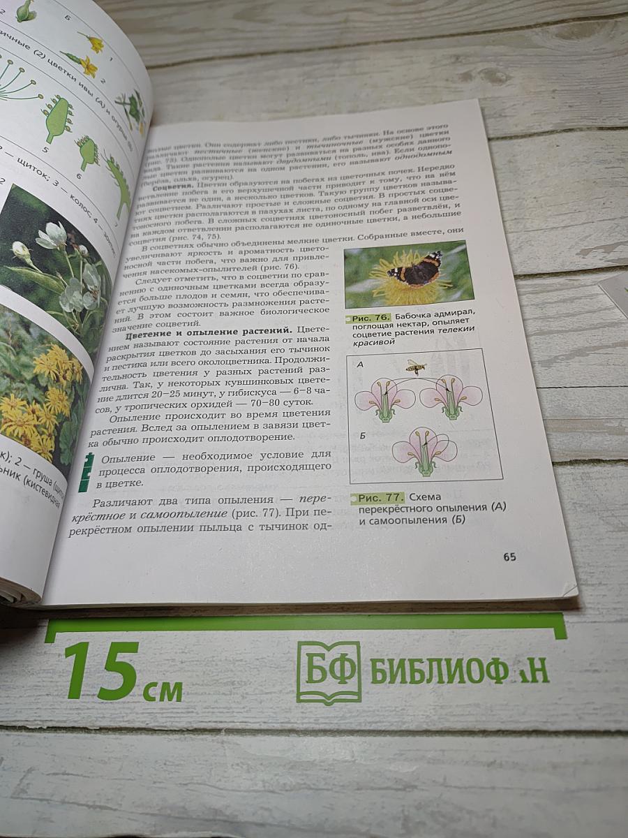 Биология 6 класс