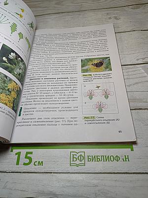 Биология 6 класс