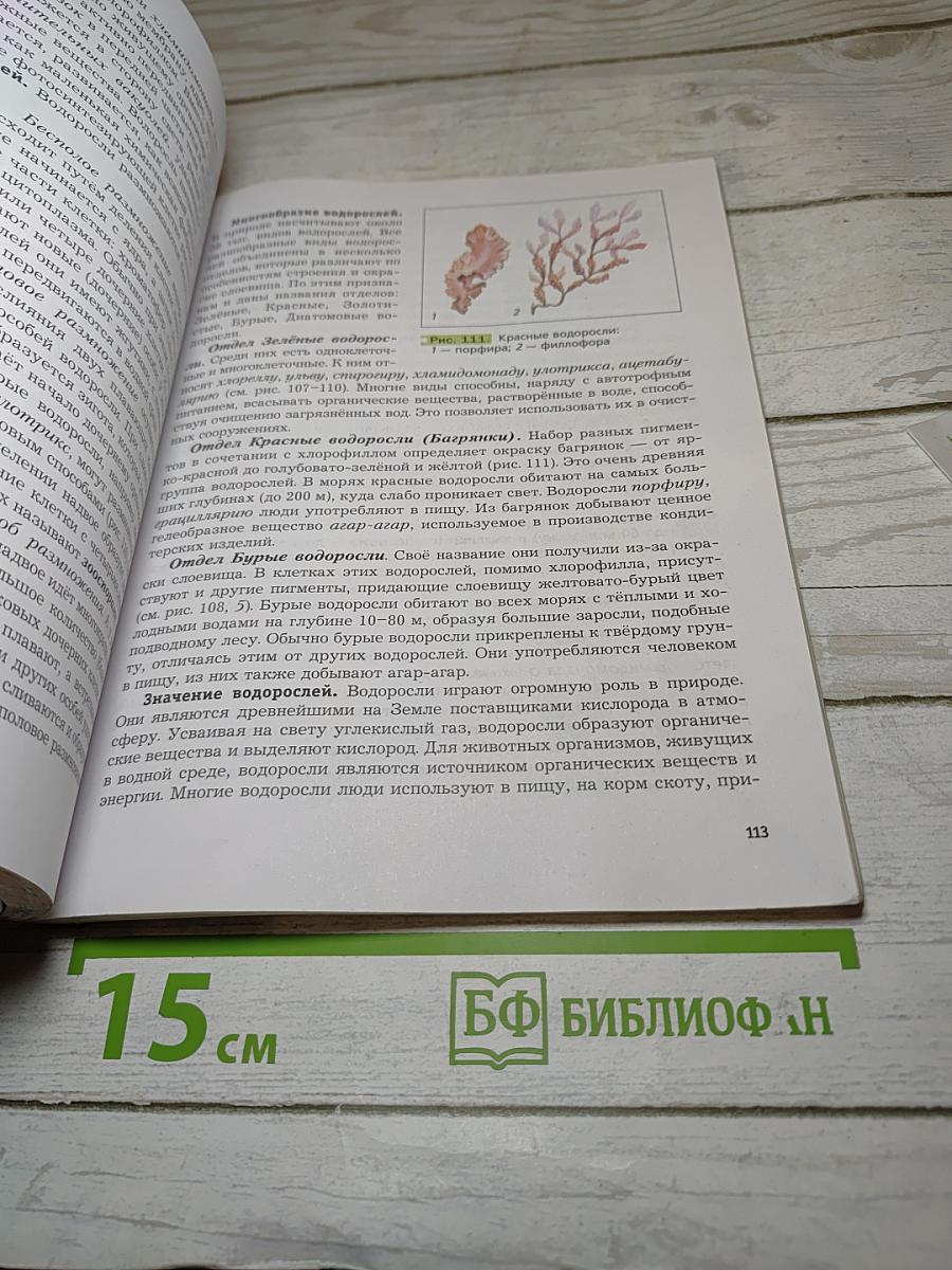 Биология 6 класс