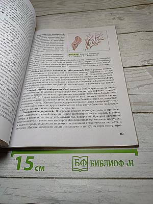 Биология 6 класс