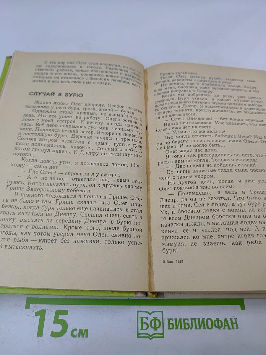 Повесть о сыне