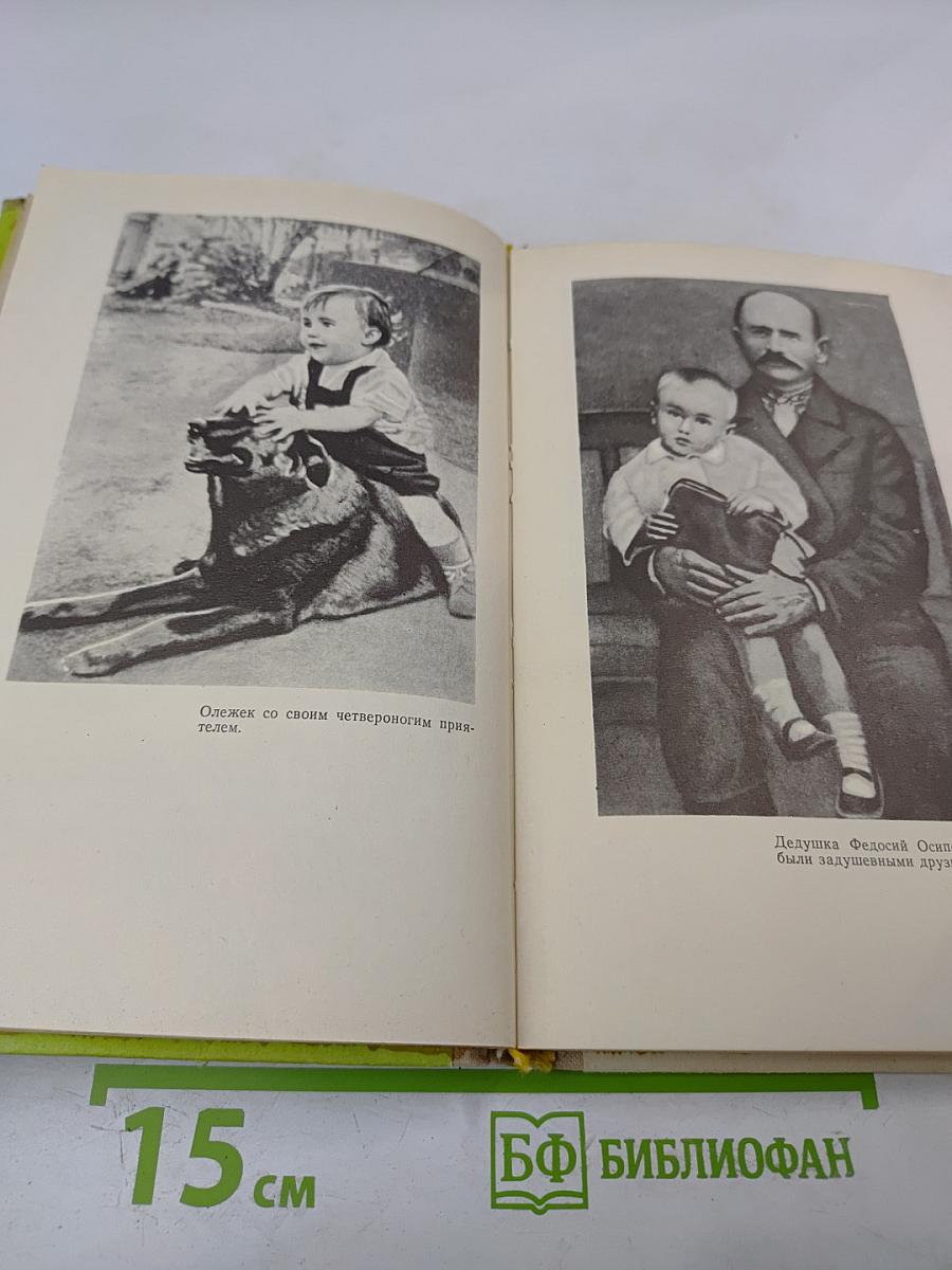 Повесть о сыне