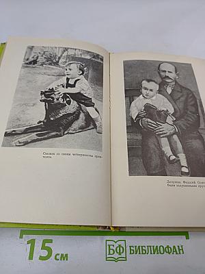 Повесть о сыне