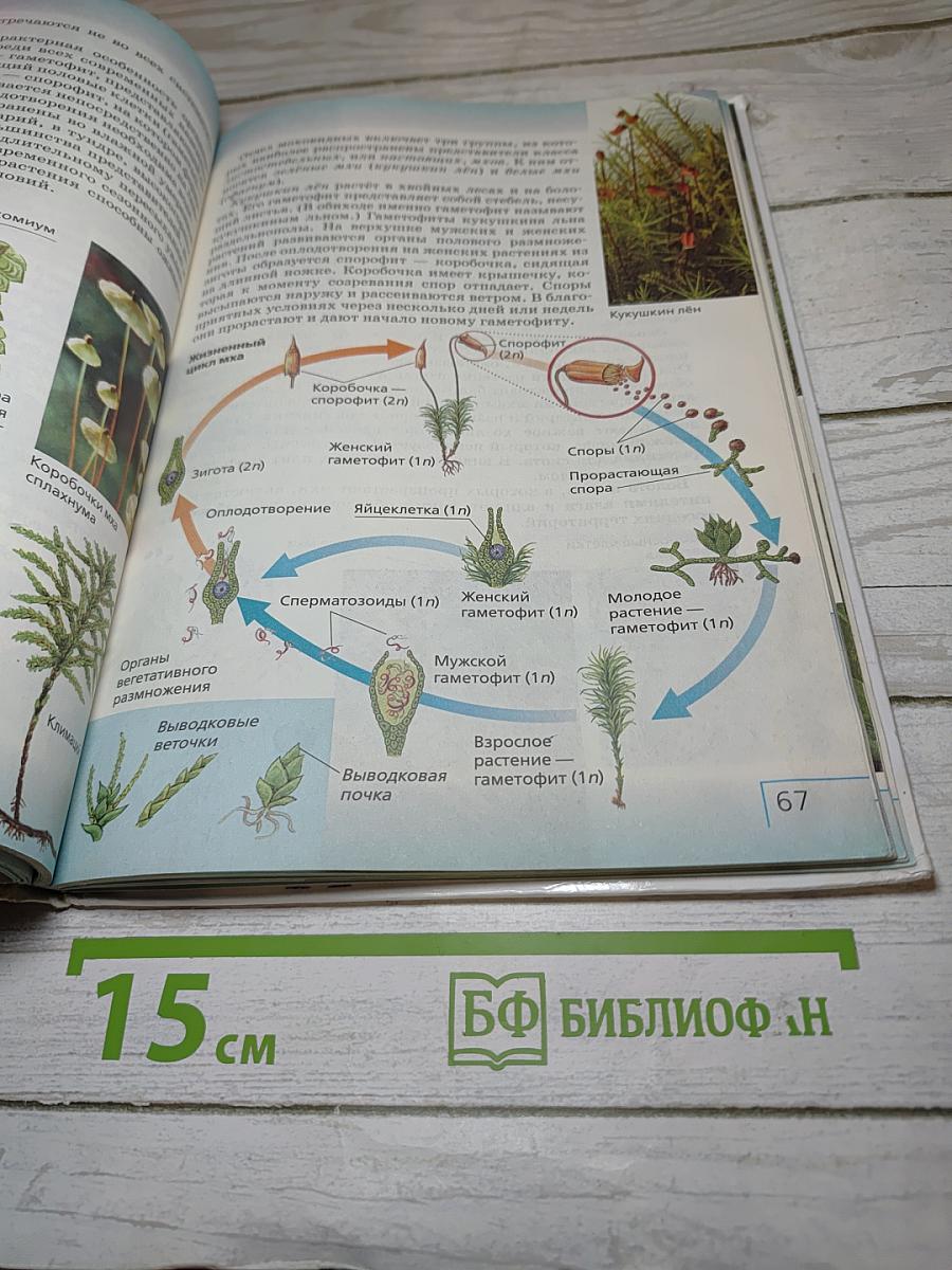 Биология. Многообразие живых организмов. Бактерии, грибы, растения. 7 класс