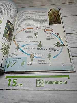 Биология. Многообразие живых организмов. Бактерии, грибы, растения. 7 класс