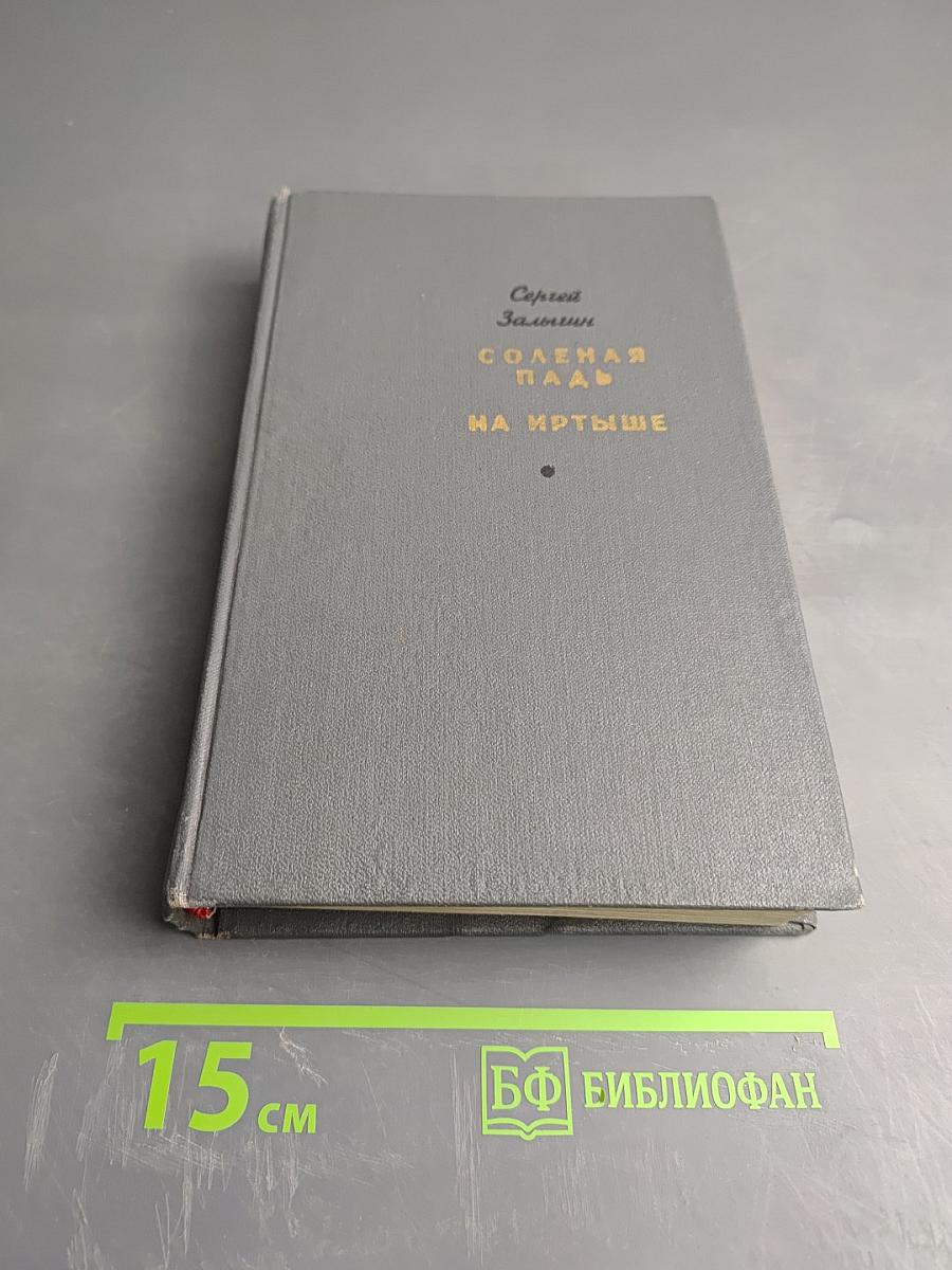 Соленая падь. На Иртыше