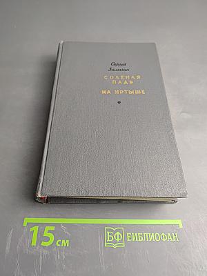 Соленая падь. На Иртыше