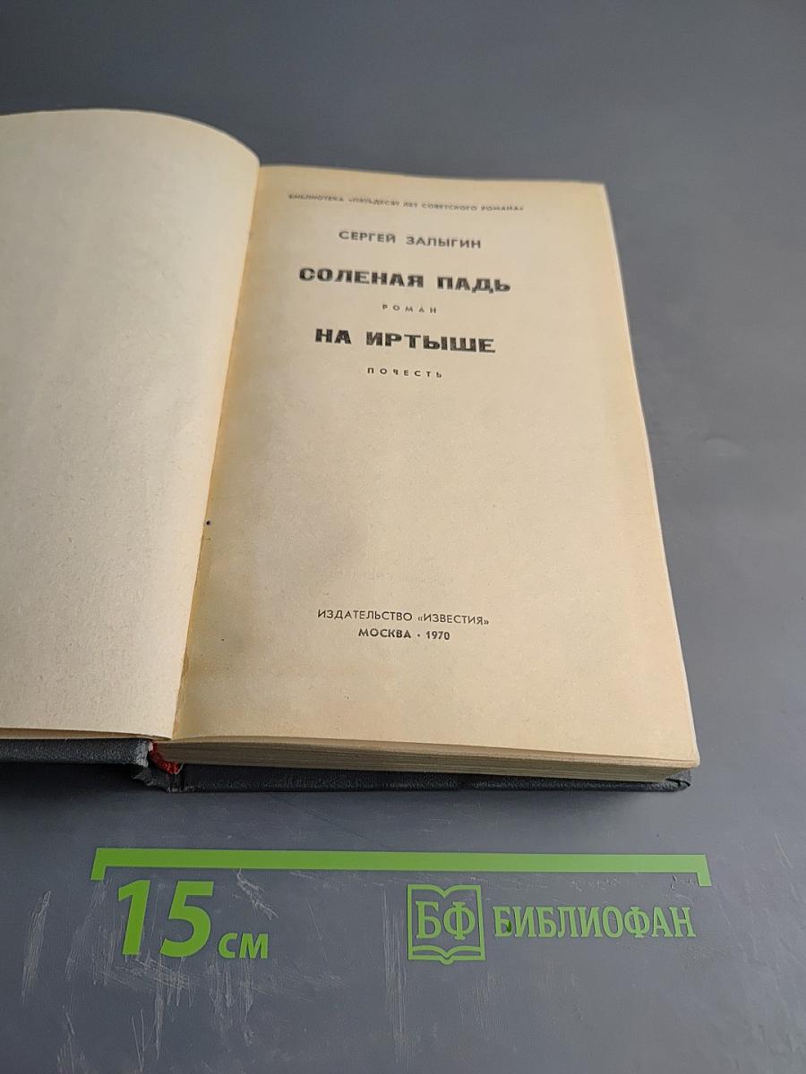 Соленая падь. На Иртыше