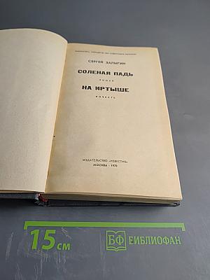 Соленая падь. На Иртыше