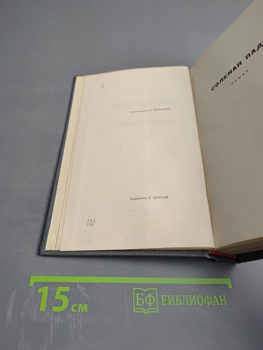 Соленая падь. На Иртыше