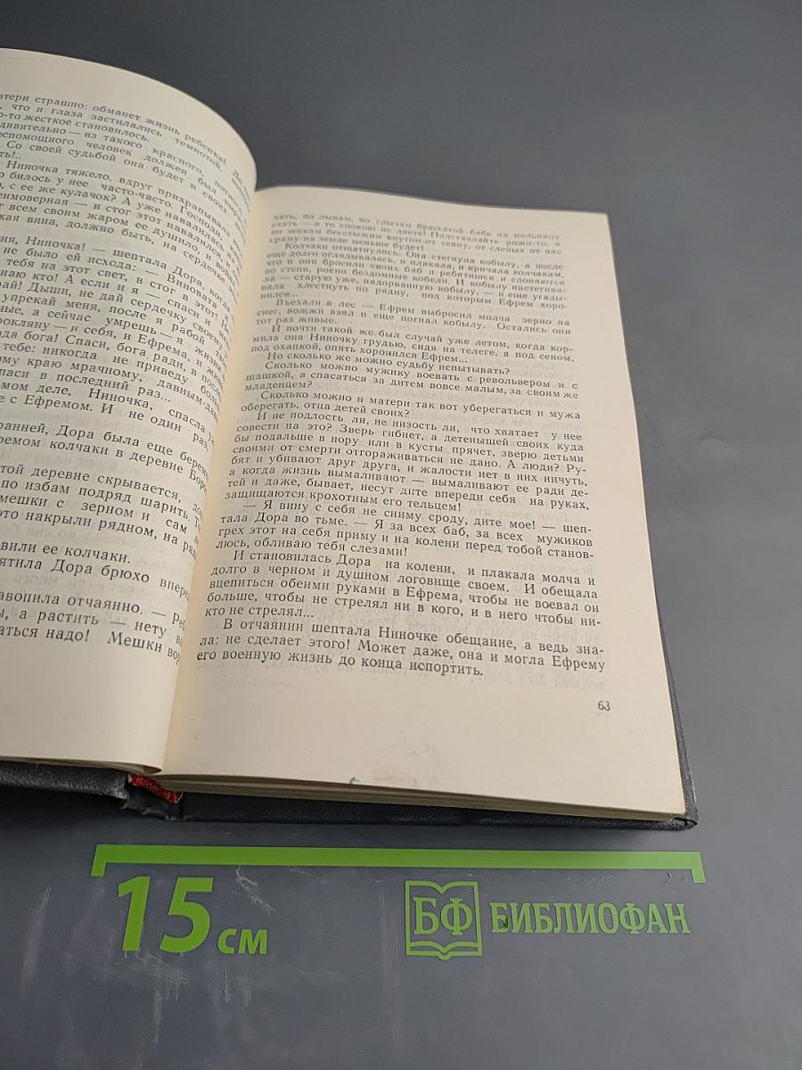 Соленая падь. На Иртыше