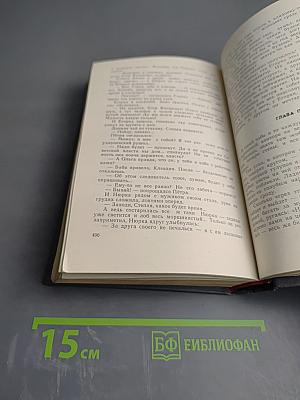 Соленая падь. На Иртыше