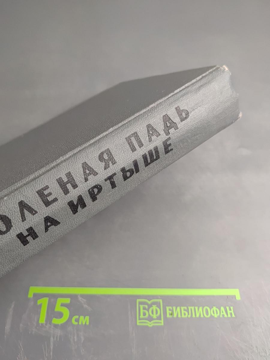 Соленая падь. На Иртыше