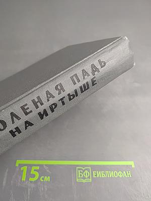 Соленая падь. На Иртыше