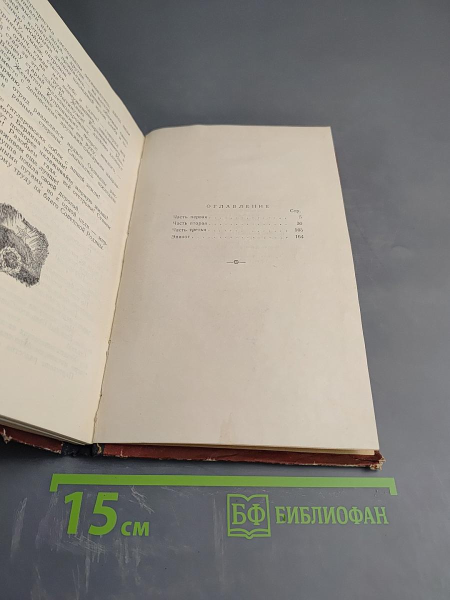 Константин Заслонов