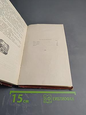 Константин Заслонов