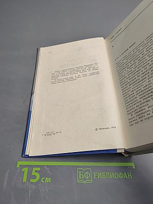 Крылья над морем