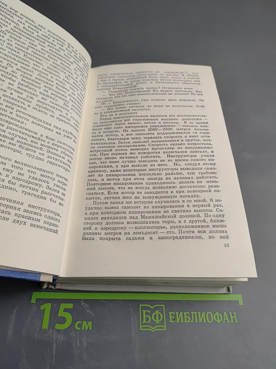 Крылья над морем