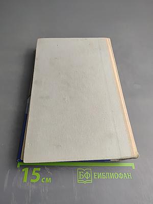 Крылья над морем