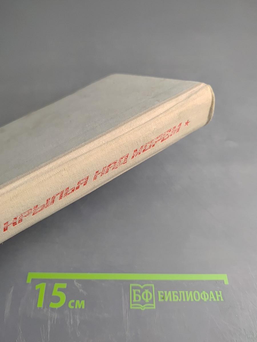 Крылья над морем