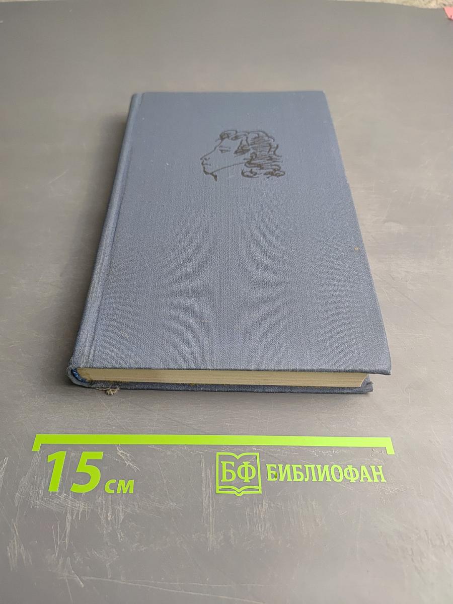 Собрание сочинений в десяти томах. Том 10: Письма 1831-1837 гг.