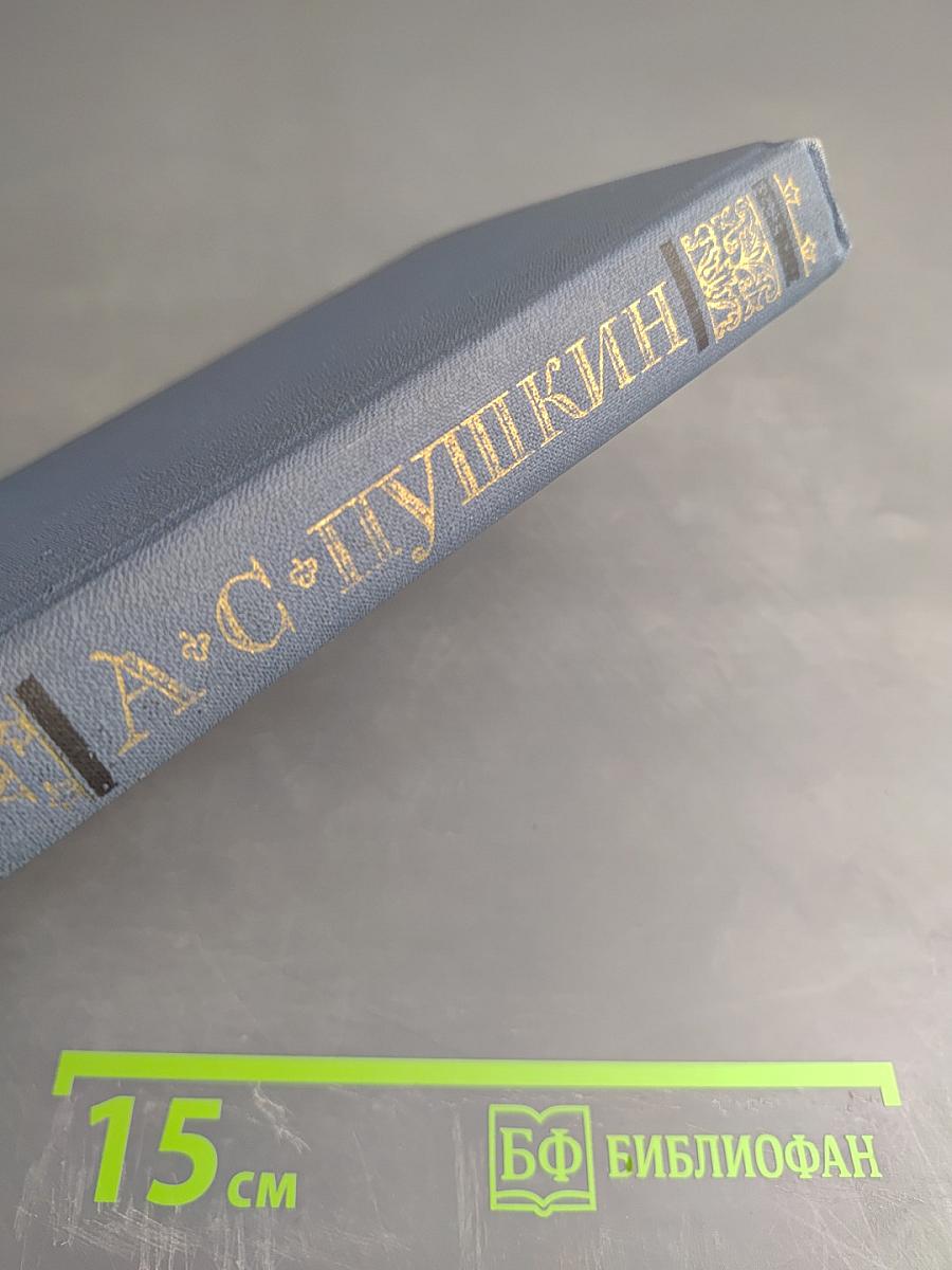 Собрание сочинений в десяти томах. Том 10: Письма 1831-1837 гг.