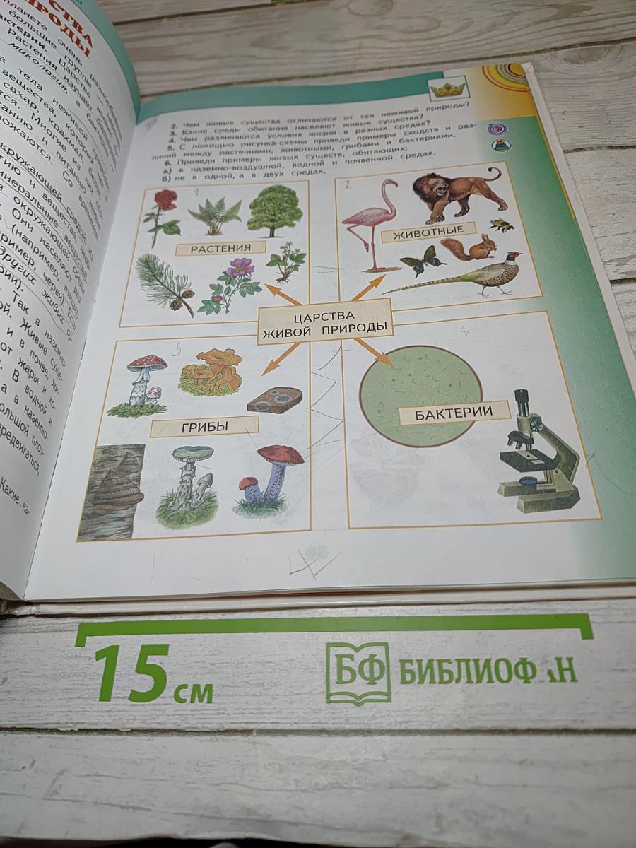 Окружающий мир 3 класс Часть 1