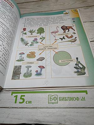 Окружающий мир 3 класс Часть 1