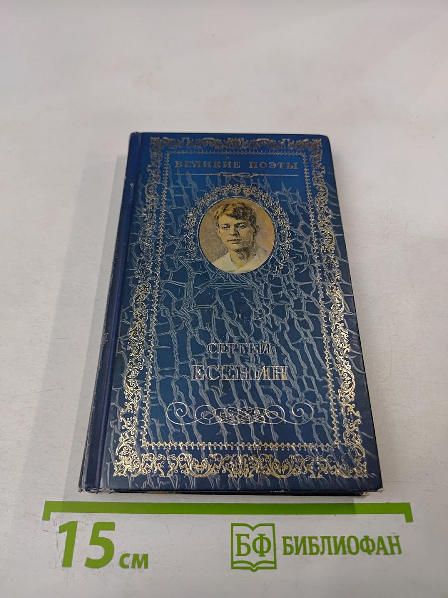 Половодье. Избранные стихотворения