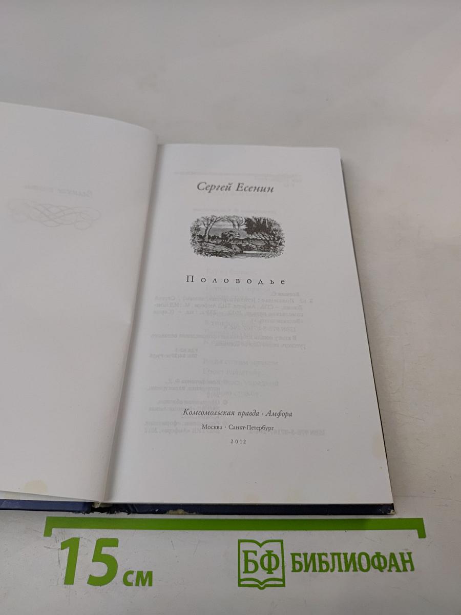 Половодье. Избранные стихотворения