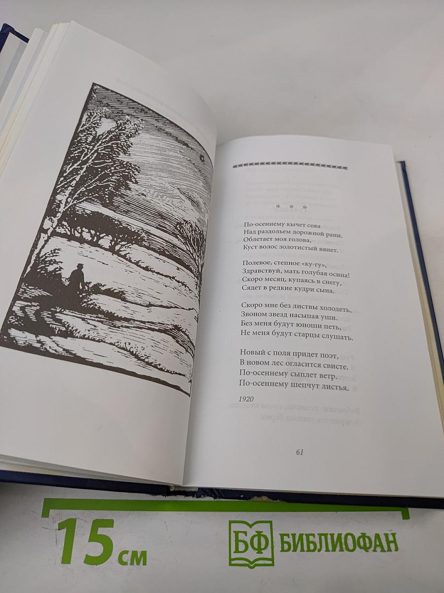 Половодье. Избранные стихотворения