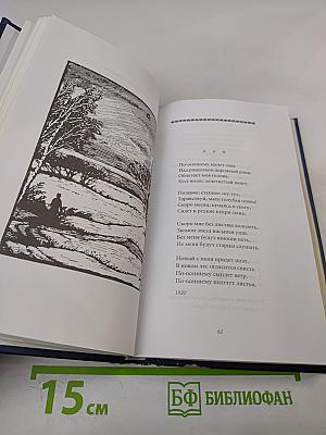 Половодье. Избранные стихотворения