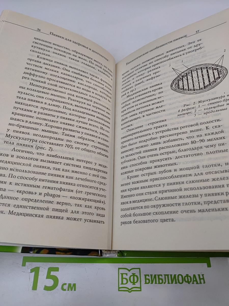 Пиявки для здоровья и долголетия. 1000 рецептов исцеления
