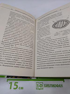 Пиявки для здоровья и долголетия. 1000 рецептов исцеления